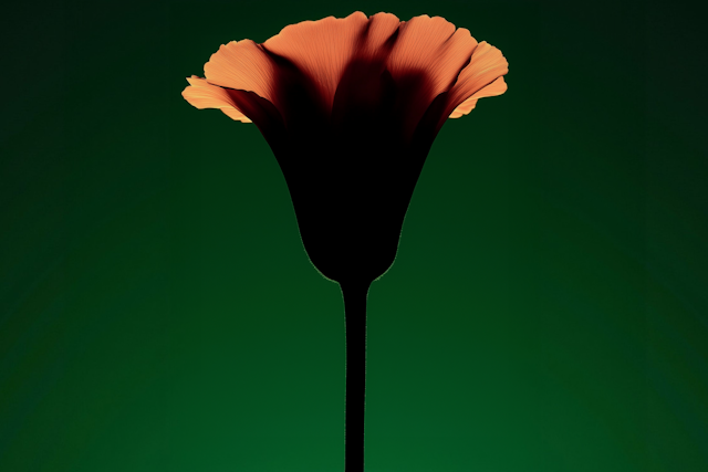 Grief Coach Singapore