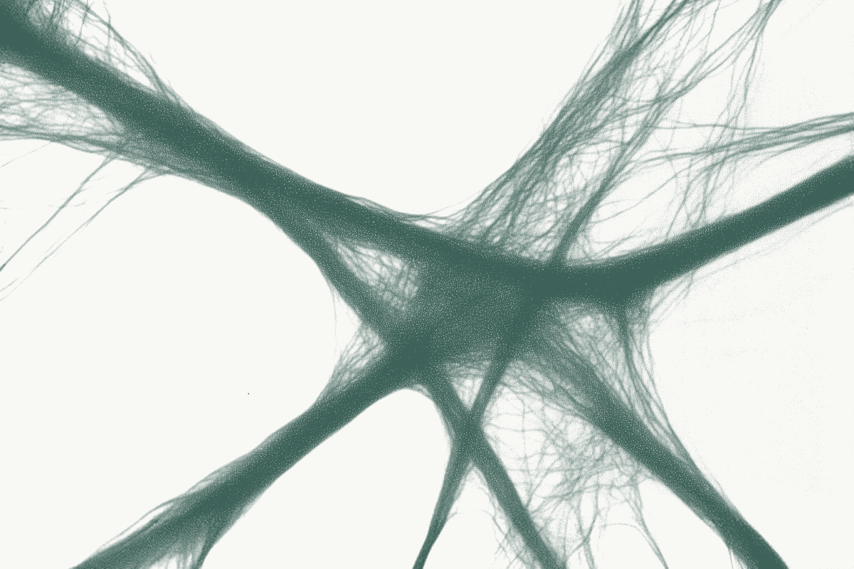 The Clarity Practice Cognitive Operating System3