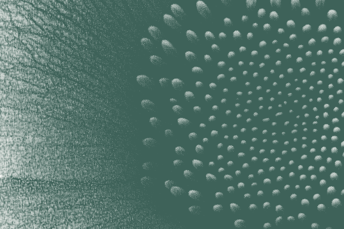 Leadership Architecture in the era of AI